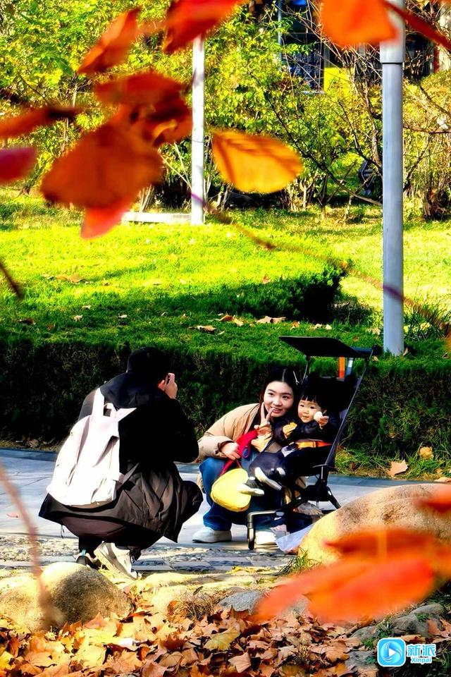 冬意初临 潍坊如诗如画