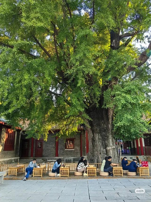 跟着赛事来沂蒙 | 平邑县VS沂南县，到底谁是“一哥”？“临超”25日，决赛之战一触即发！