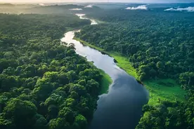 亚马逊河有多可怕？为何至今没一座桥能跨越它？桥：驾驭不了！图片