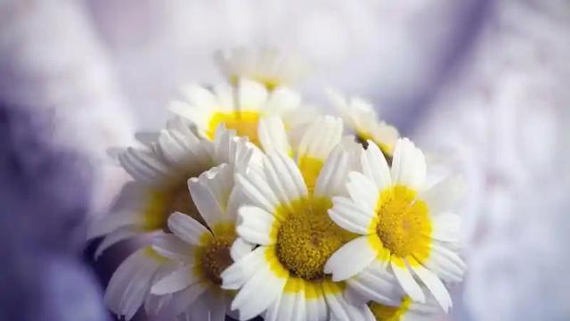 男人真正爱一个女人的样子：三个行为