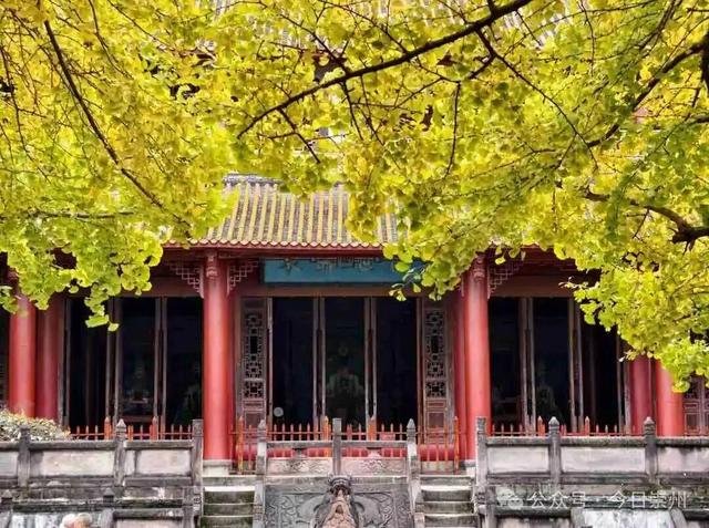 开始刷屏！🤩🤩 崇州罨画池迎来颜值巅峰