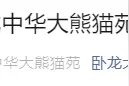 “造谣传谣、网暴”，4名主播终身禁入熊猫基地图片