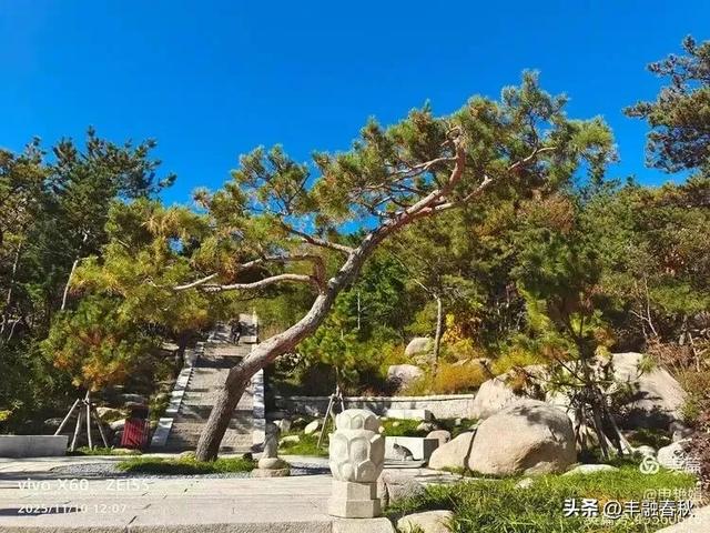 青岛崂山华严寺：山海间的禅意清响｜申艳娟