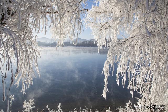 这么多东北人到广西旅居，而却很少广西人到东北去，知道为什么吗