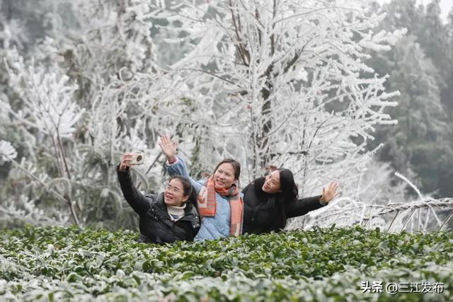 寒潮“炫技”成功！三江这地方浪漫值拉满