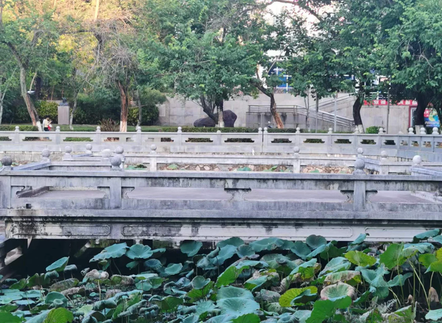 又来广东之一百三十九 梅州篇之五 嘉应学院