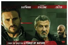 2025年1 月北美热映熬夜都要看完的10部海外大片图片