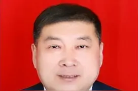 镇长杨扬，复出后又被查图片