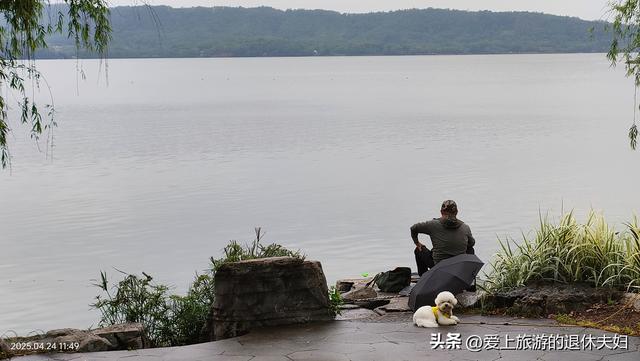 出游第7站-岳阳：因去的不是时候,愉悦与失落参半,岳阳楼值得登吗