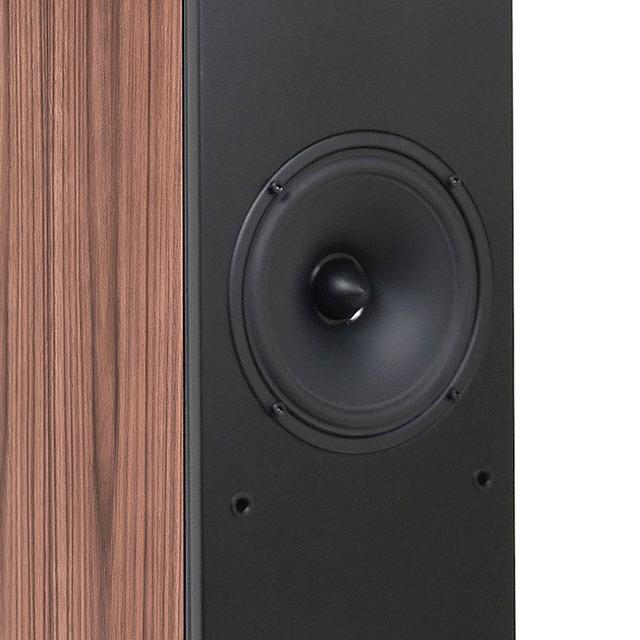 8款落地式音箱品评 | 万元级欧洲原产落地箱：PENAUDIO Ambient Two