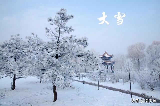 “早大雪，冻死牛；晚大雪	，暖烘烘	”，今年几点大雪？