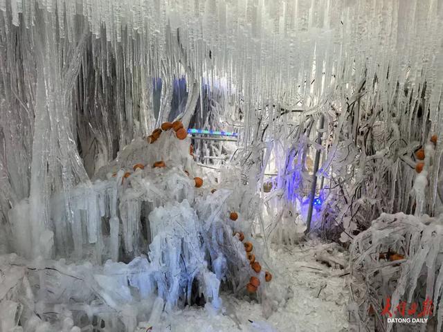 采摘+冰雪!大同市云冈区奏响一曲冬日文旅交响乐~