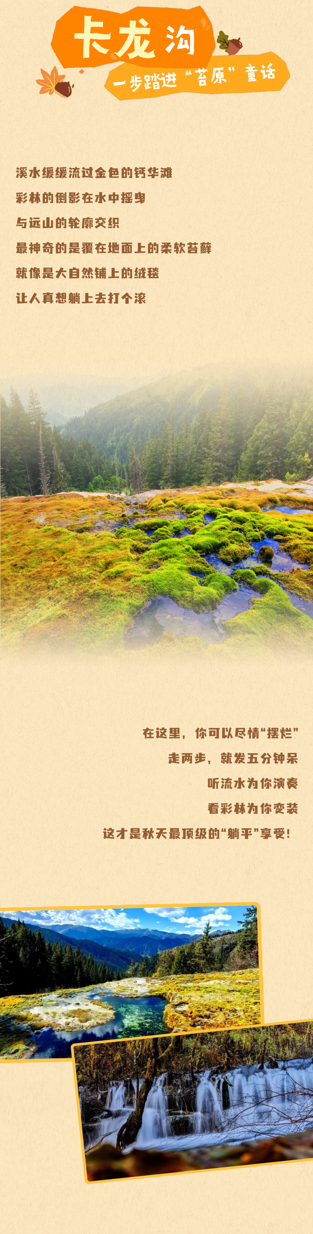 别等了！黑水彩林已上色，第一波惊艳等你接收！