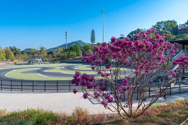 看！是金黄色的光明！