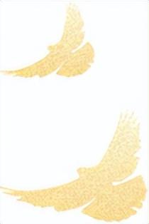 抓紧预约！内蒙古博物院“夜场+延时”即将上线