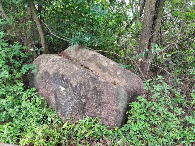 曾腾芳：在珠海登将军山