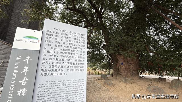 大美桐洲岛，富春江上的绿野仙踪，解锁水陆空撒野新玩法
