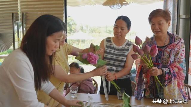 五宅村香水莲花基地开业，奉贤市民再添遛娃休闲新选择