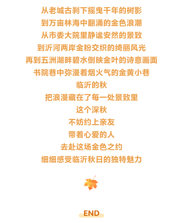 临沂免费赏秋好去处，错过你将后悔一整年！