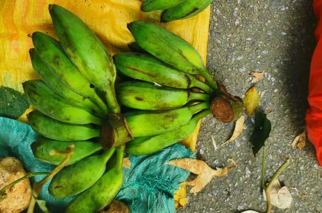 趁墟了喂！打卡从化鳌头墟，感受烟火里的人文慢时光