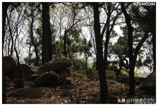 山东行游影记（20）—临沂蒙山（一）