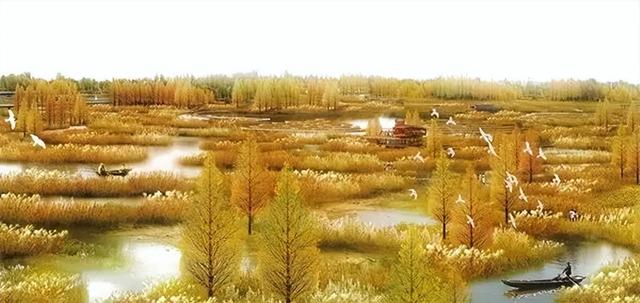 丹阳要建练湖文化公园：从千年水柜到城市文化客厅的复兴之路