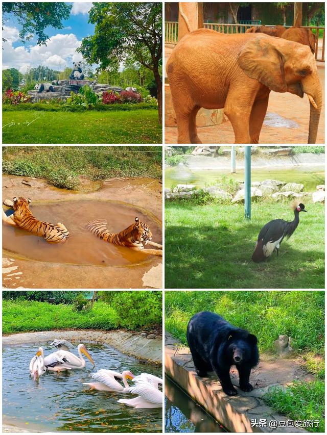 广西贵港漫游指南：山水人文美食五日慢旅行