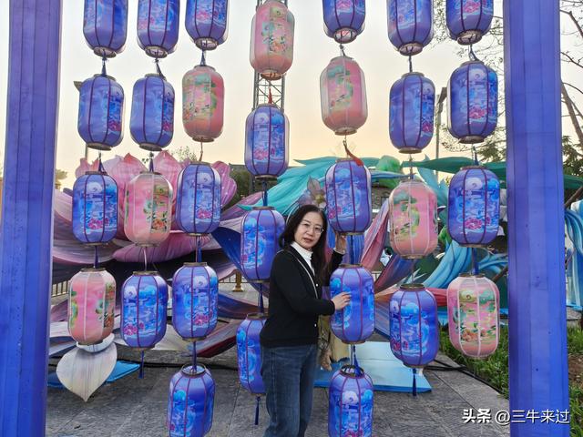 无为在歧路，淄博花灯齐彩城免票