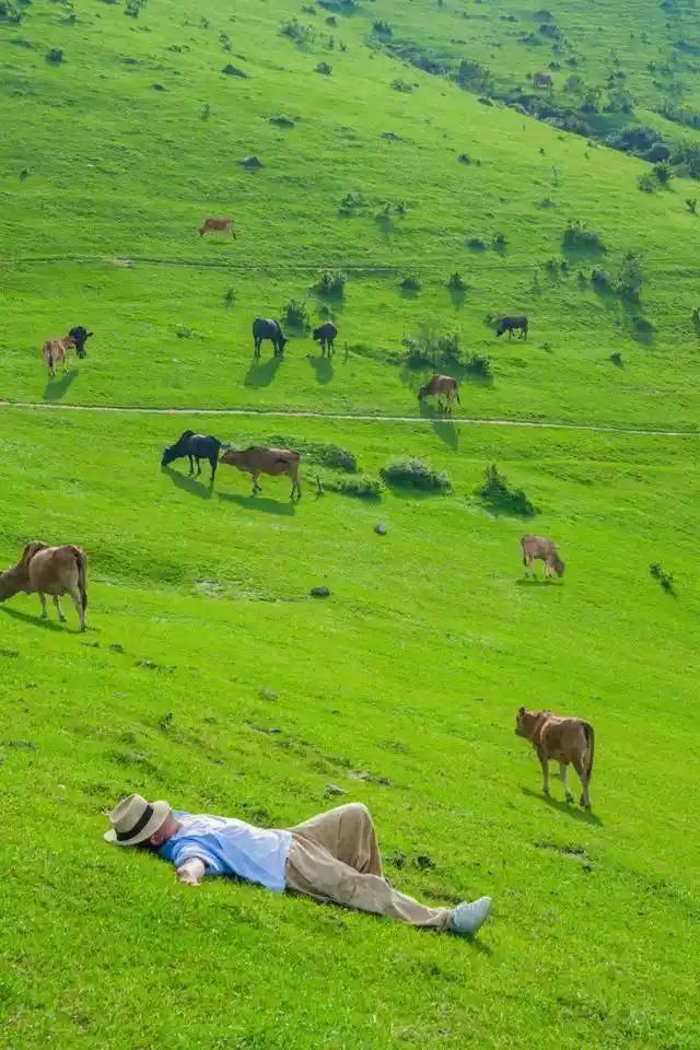河北省面积第一县,相当于四个深圳,比秦皇岛市还大