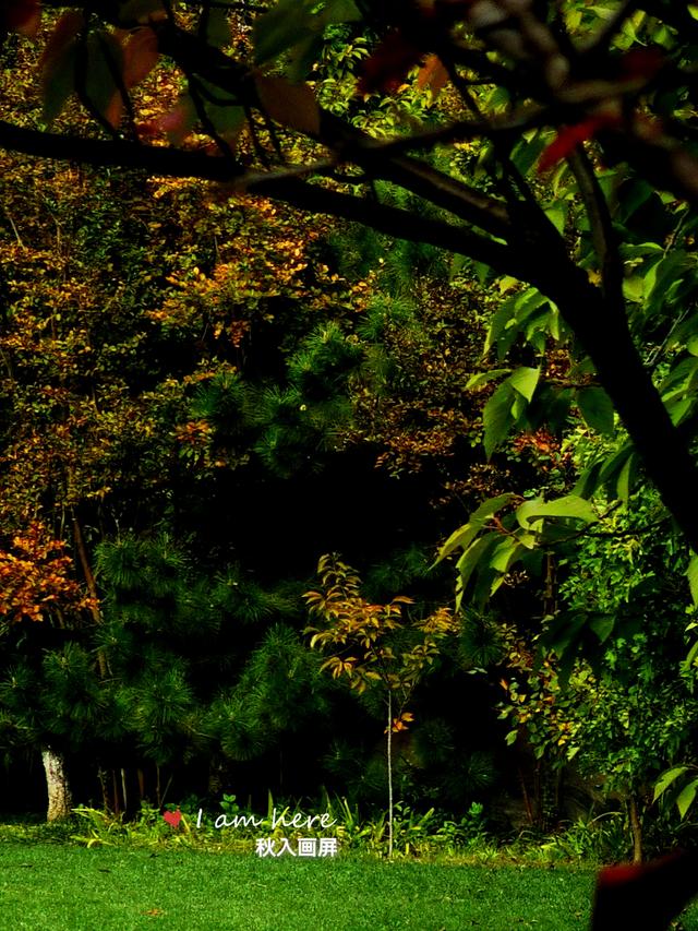 秋色入画屏