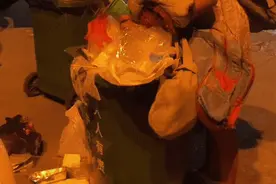 急寻！广东流浪女孩捡垃圾求生，背后故事令人心痛！图片