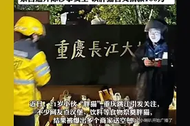 重庆胖猫事件后续：活着被当提款机，走后被吃人血馒头！评论炸锅图片