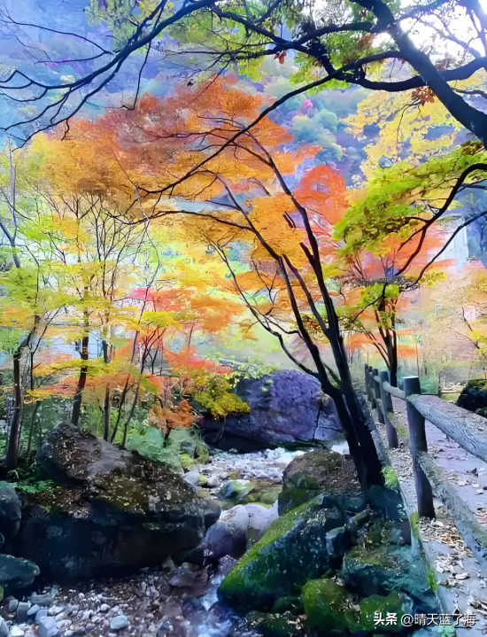 “十处绝美”秋景迎国庆——西安周边那个是你——心中的秋色！