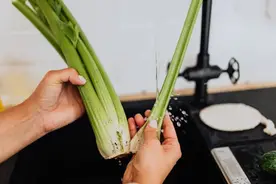 为何吃芹菜别吃叶子？很多人还不知道，为了健康不妨多了解一下图片