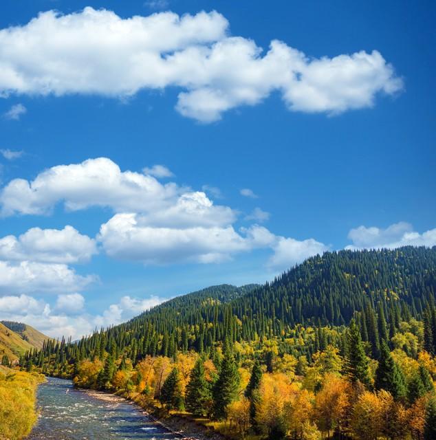 镀了金的新疆秋色，彩色绘就，五处秘境邂逅最诗意的天山南北