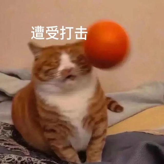 Share｜沙雕表情包11.02