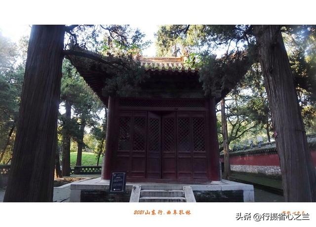 山东行游影记（228）—曲阜孔林（四）