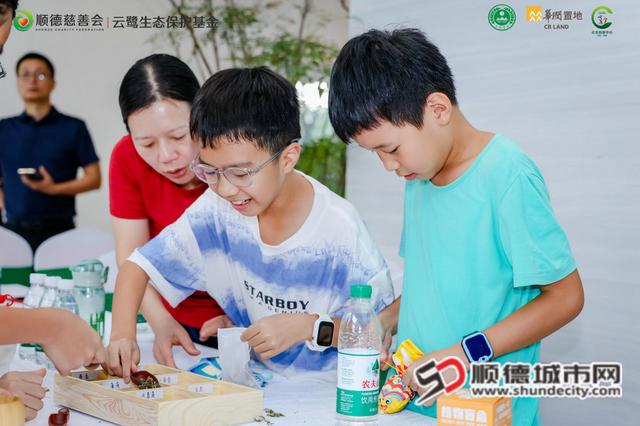 湿地探秘“趣”科普！顺德全国生态日活动精彩纷呈