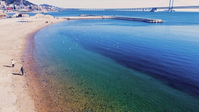 去辽宁大连玩了 6 天回来，说句大实话，大连真不是所有人能适应的