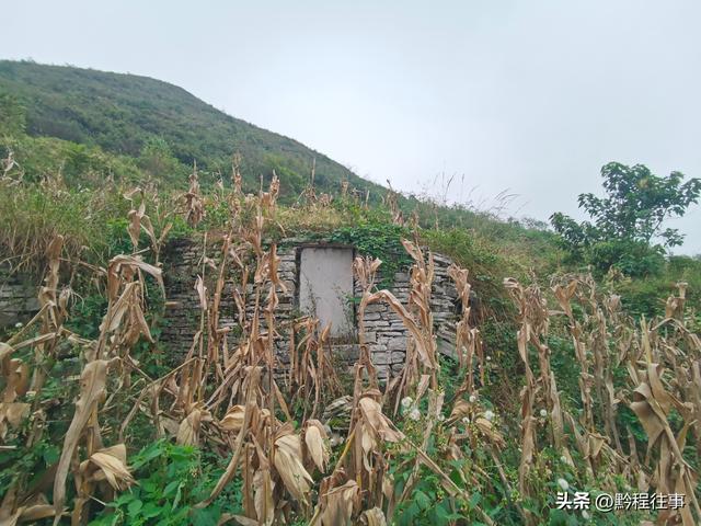 寻找一片僧人墓地，佛门高僧竟然最后落得尸骸无存