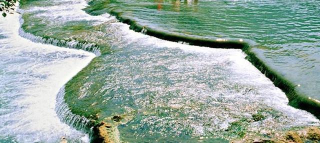 带着孙女去旅行（168）罗平油菜花海游