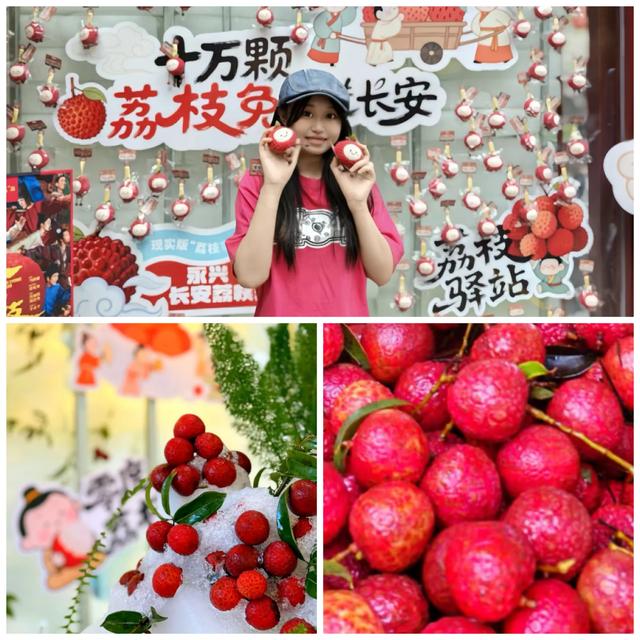 “长安荔枝冰屋”惊现永兴坊 十万颗免费冰镇荔枝消暑又解馋