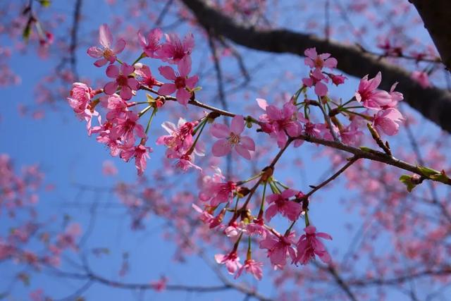 美如仙境！韶关这个地方迎来今年首场冰挂雾凇景观，秋冬来旅行，赏雪泡泉看红枫为你安排好了