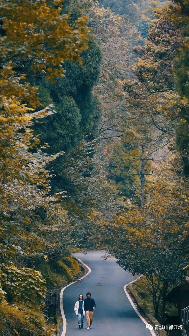 美疯！我就说初冬的都江堰有真东西！