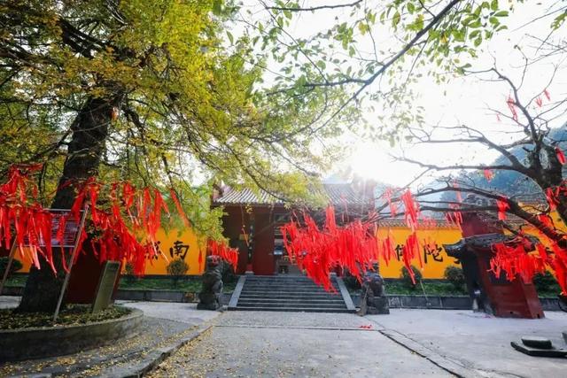 秋冬遛娃“药”新鲜!能吃能玩还能“养”,这条游玩路线一站式拿捏