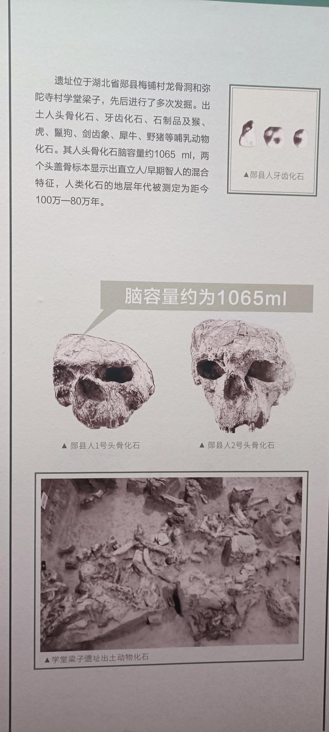 那么近，那么美，周末到商洛了——大美商洛秦岭博物馆