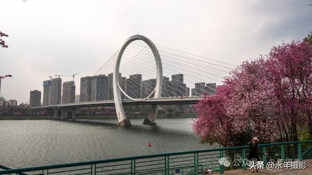 自驾环游中国行（二十九）广西柳州到桂林十里画廊