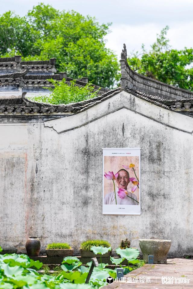 好景与君同 | 影宴同享：诗酒趁年华，影宴共此时 | 皖美夏日