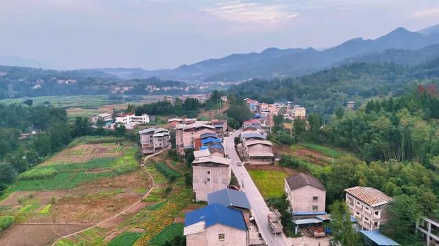 乡间行记：从岳溪镇到谭家坝的旧日记忆