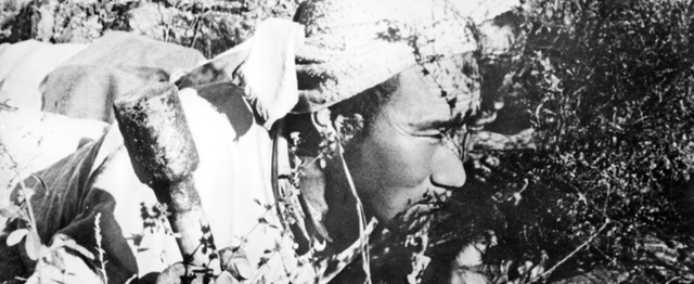 阅兵场上的民兵方队到底是什么来头